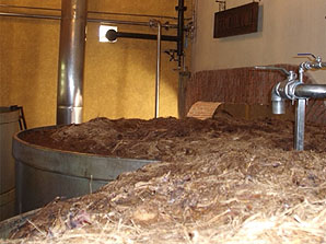 7Leguas Fermentation